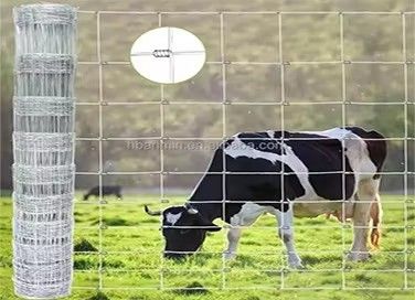 Animal fence