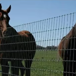 Animal fence
